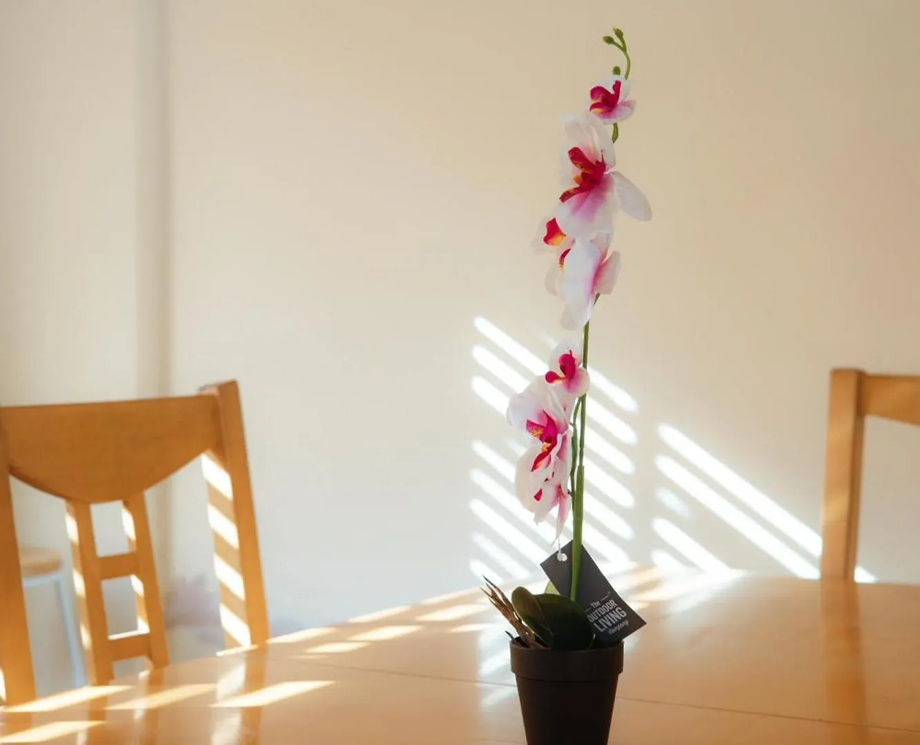Victorian Woods Bnb Bed & Breakfast London